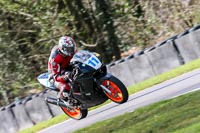 Oulton-Park-20th-March-2020;PJ-Motorsport-Photography-2020;anglesey;brands-hatch;cadwell-park;croft;donington-park;enduro-digital-images;event-digital-images;eventdigitalimages;mallory;no-limits;oulton-park;peter-wileman-photography;racing-digital-images;silverstone;snetterton;trackday-digital-images;trackday-photos;vmcc-banbury-run;welsh-2-day-enduro